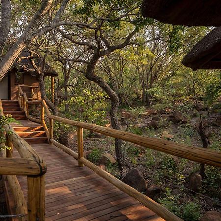 Tshwene Lodge Vaalwater Buitenkant foto