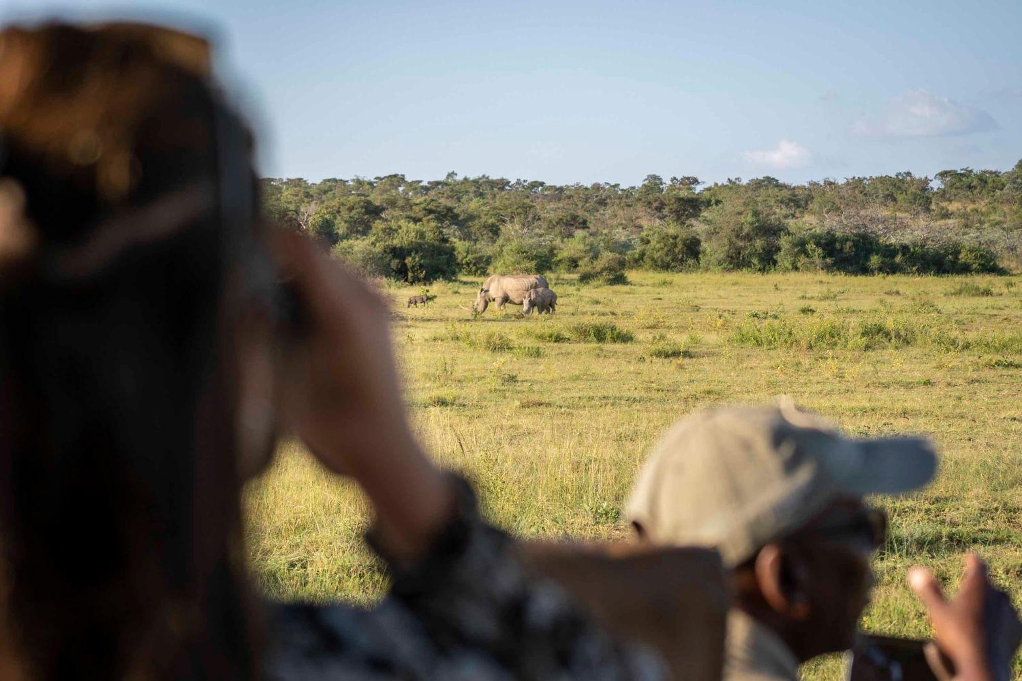 Tshwene Lodge Vaalwater Buitenkant foto