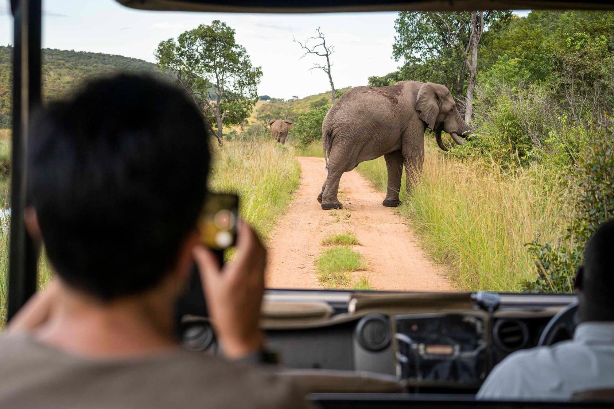 Tshwene Lodge Vaalwater Buitenkant foto