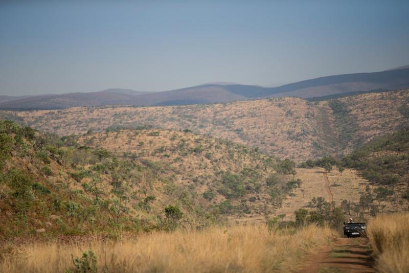 Tshwene Lodge Vaalwater Buitenkant foto