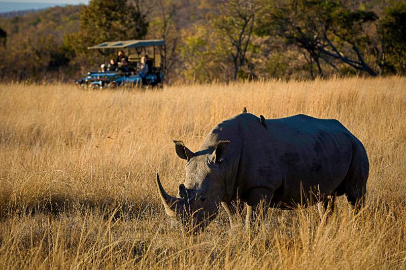 Tshwene Lodge Vaalwater Buitenkant foto