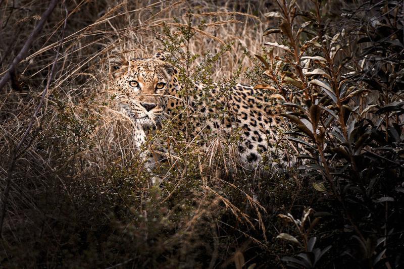 Tshwene Lodge Vaalwater Buitenkant foto